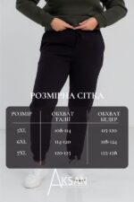 Штани Aksan 20.493 Black - Зображення 4