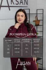 Спортивний костюм Aksan 25.2582 Бордовий - Зображення 4