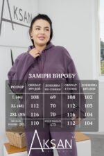 Спортивний костюм Aksan 25.2789 Фіолетовий - Зображення 4